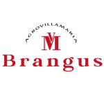 Carnes Brangus